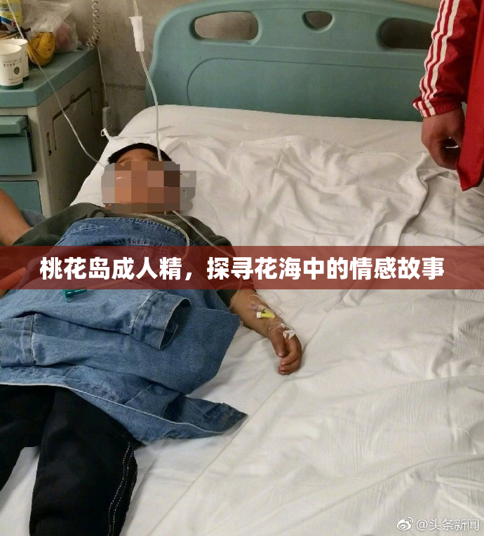 桃花岛成人精，探寻花海中的情感故事