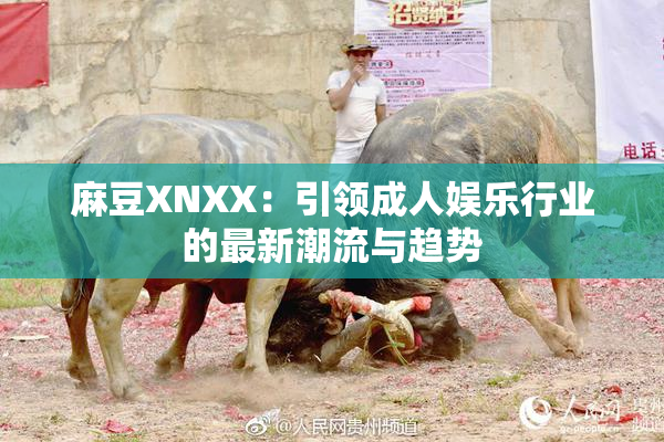 麻豆XNXX：引领成人娱乐行业的最新潮流与趋势