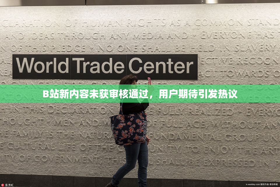 B站新内容未获审核通过，用户期待引发热议