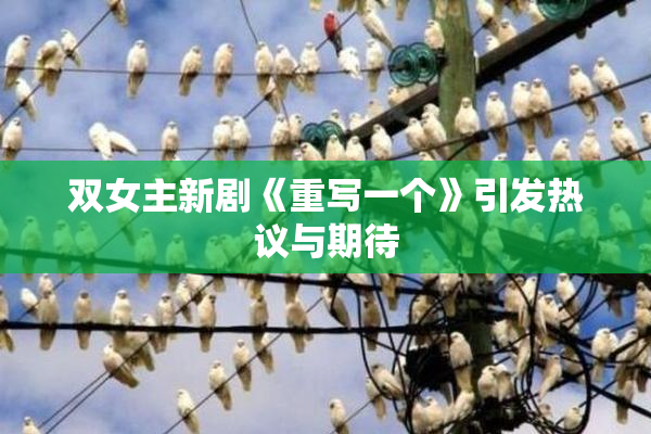 双女主新剧《重写一个》引发热议与期待