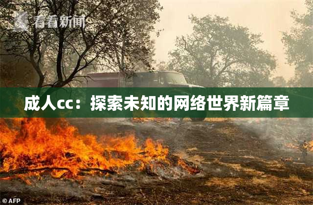 成人cc：探索未知的网络世界新篇章
