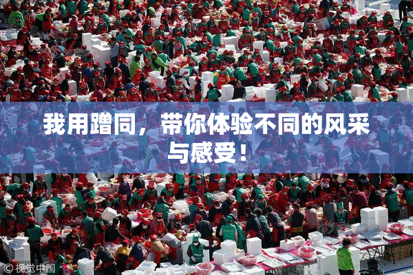 我用蹭同，带你体验不同的风采与感受！