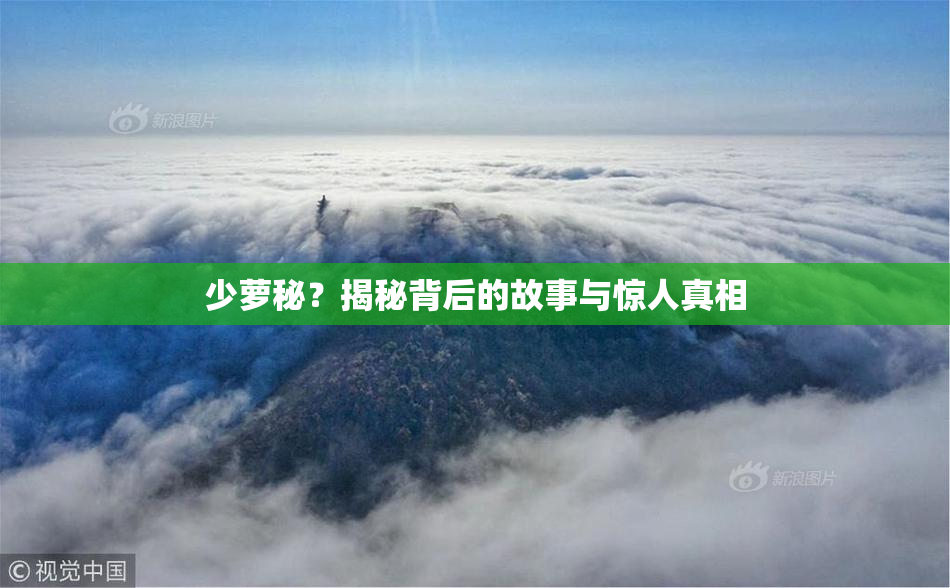 少萝秘？揭秘背后的故事与惊人真相