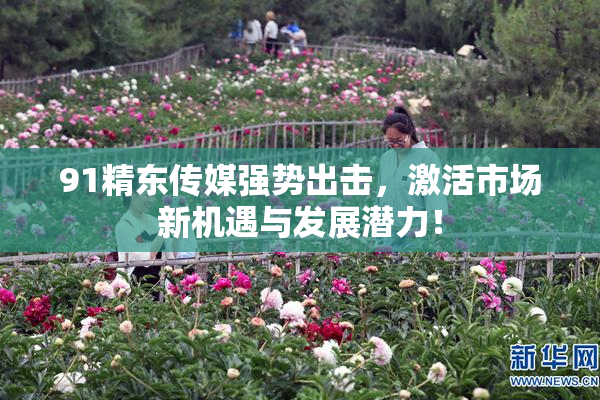 91精东传媒强势出击，激活市场新机遇与发展潜力！
