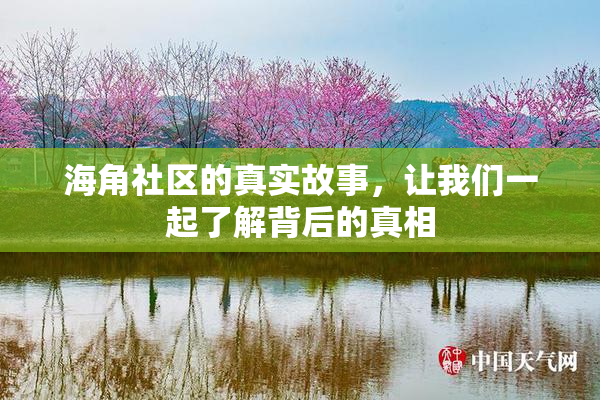 海角社区的真实故事，让我们一起了解背后的真相
