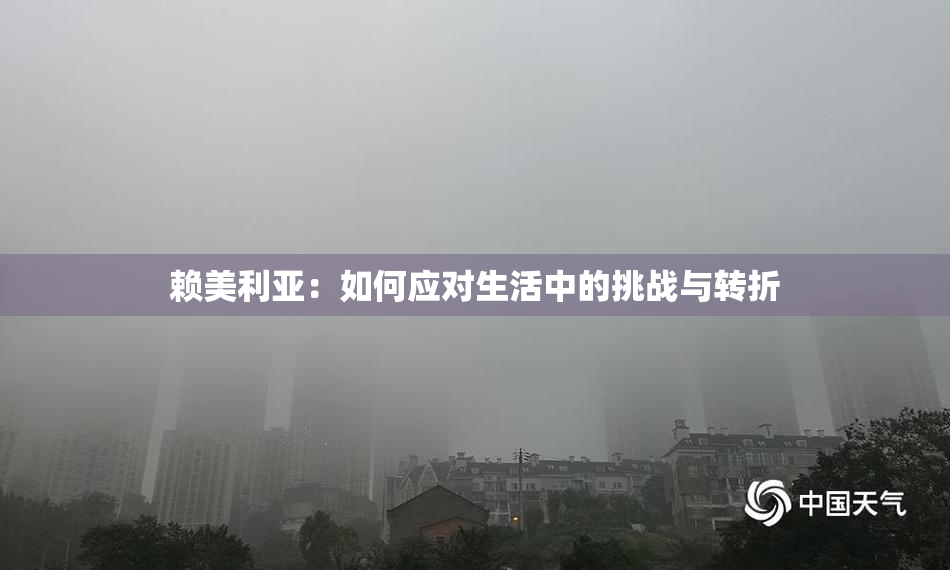 赖美利亚：如何应对生活中的挑战与转折