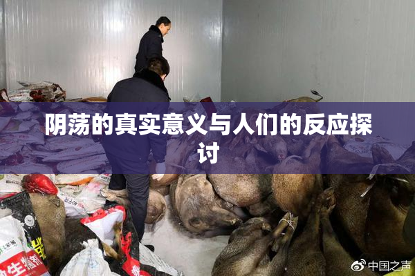 阴荡的真实意义与人们的反应探讨
