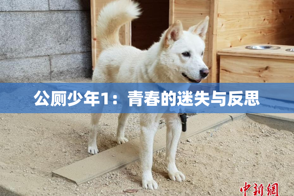 公厕少年1：青春的迷失与反思