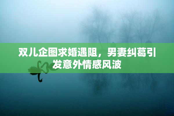 双儿企图求婚遇阻，男妻纠葛引发意外情感风波