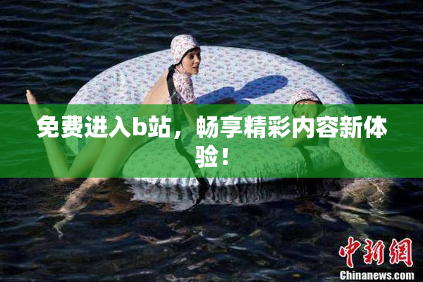 免费进入b站，畅享精彩内容新体验！