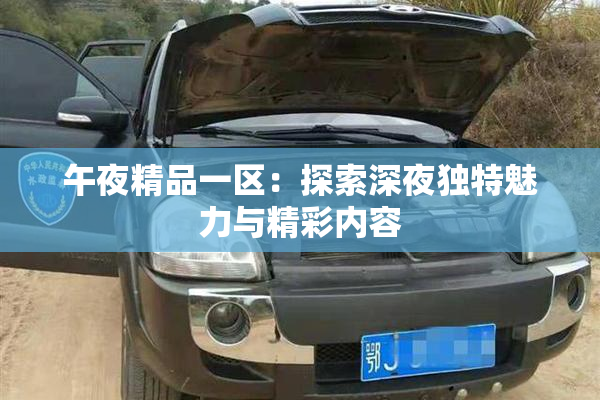 午夜精品一区：探索深夜独特魅力与精彩内容