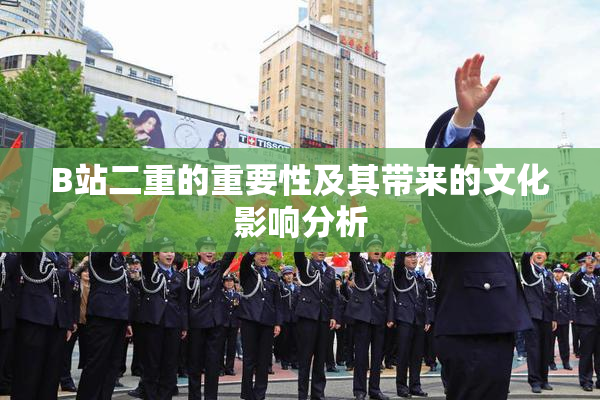 B站二重的重要性及其带来的文化影响分析