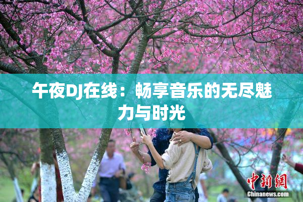 午夜DJ在线：畅享音乐的无尽魅力与时光