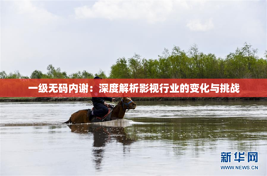一级无码内谢：深度解析影视行业的变化与挑战