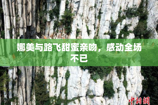 娜美与路飞甜蜜亲吻，感动全场不已