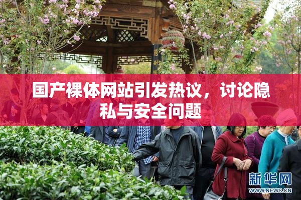 国产裸体网站引发热议，讨论隐私与安全问题