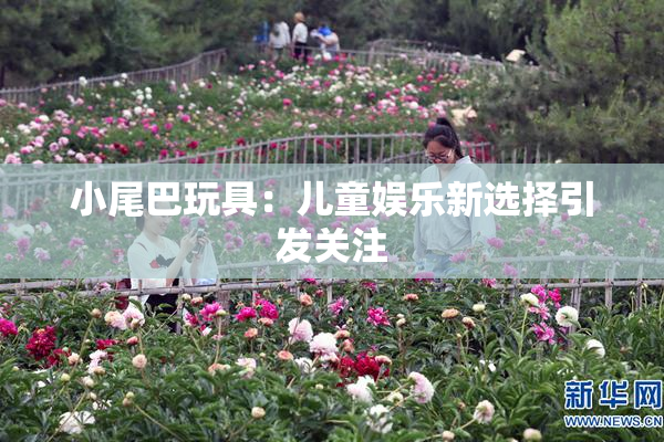 小尾巴玩具：儿童娱乐新选择引发关注