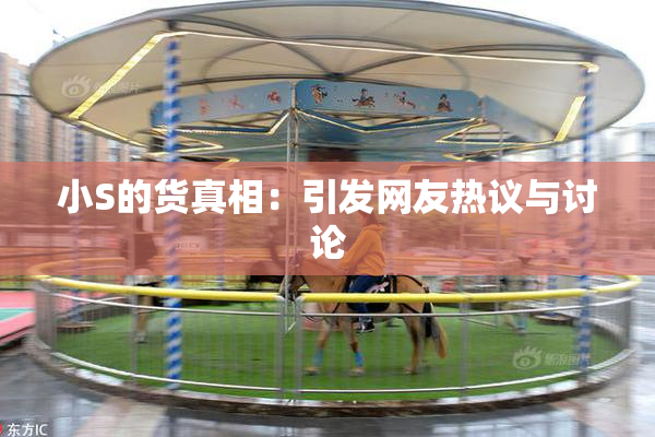 小S的货真相：引发网友热议与讨论