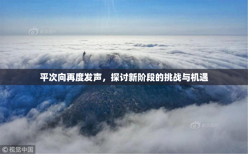 平次向再度发声，探讨新阶段的挑战与机遇