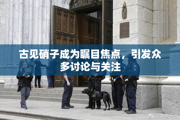 古见硝子成为瞩目焦点，引发众多讨论与关注