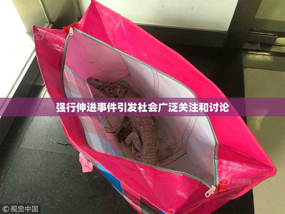 强行伸进事件引发社会广泛关注和讨论