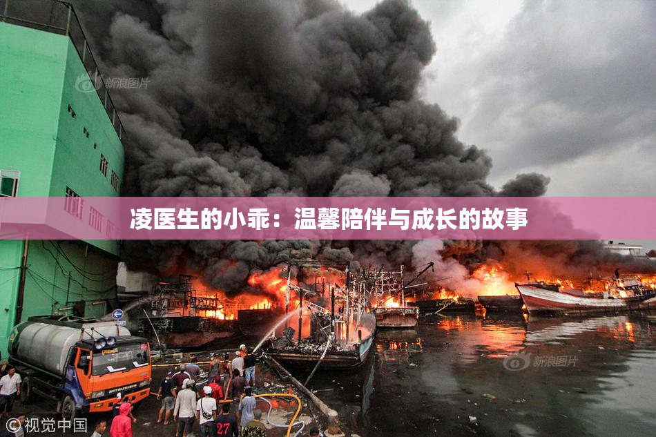 凌医生的小乖：温馨陪伴与成长的故事