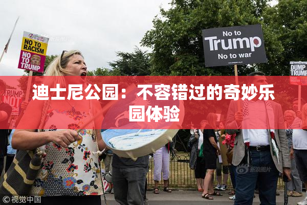 迪士尼公园：不容错过的奇妙乐园体验