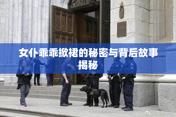 女仆乖乖掀裙的秘密与背后故事揭秘