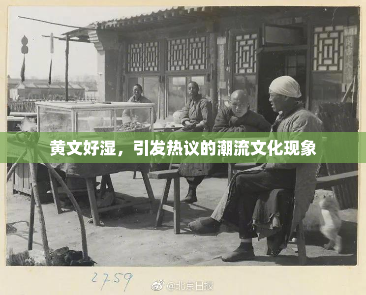 黄文好湿，引发热议的潮流文化现象