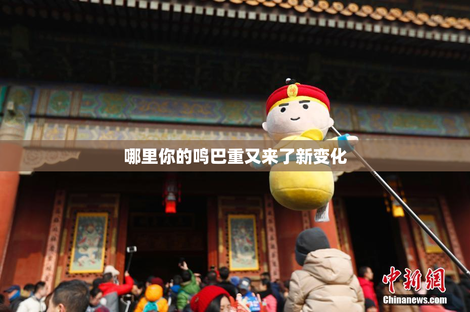 哪里你的鸣巴重又来了新变化