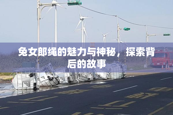 兔女郎绳的魅力与神秘，探索背后的故事
