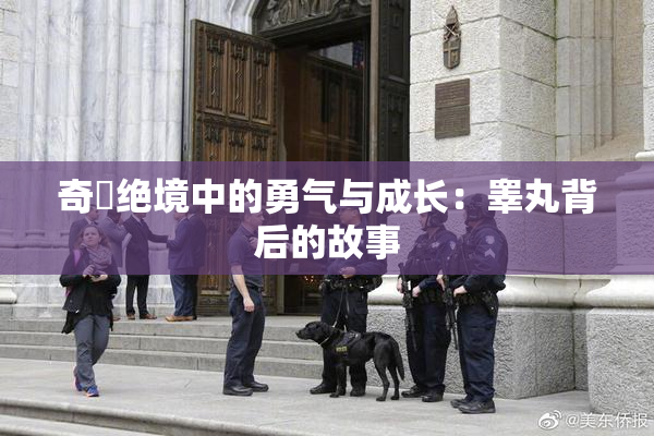 奇犽绝境中的勇气与成长：睾丸背后的故事