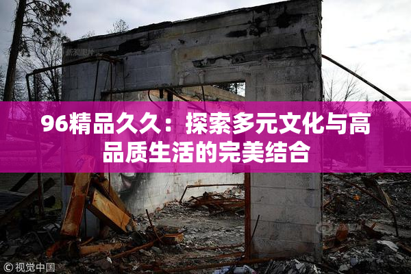 96精品久久：探索多元文化与高品质生活的完美结合