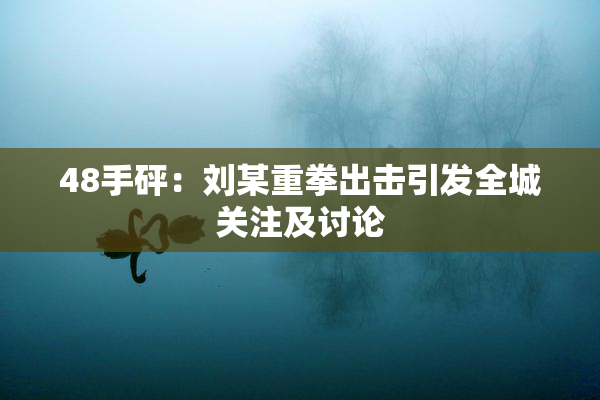 48手砰：刘某重拳出击引发全城关注及讨论