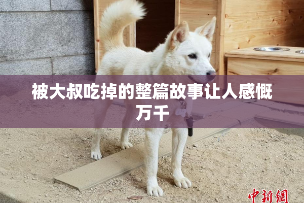 被大叔吃掉的整篇故事让人感慨万千