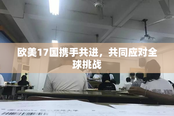 欧美17国携手共进，共同应对全球挑战