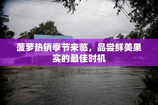 菠萝热销季节来临，品尝鲜美果实的最佳时机