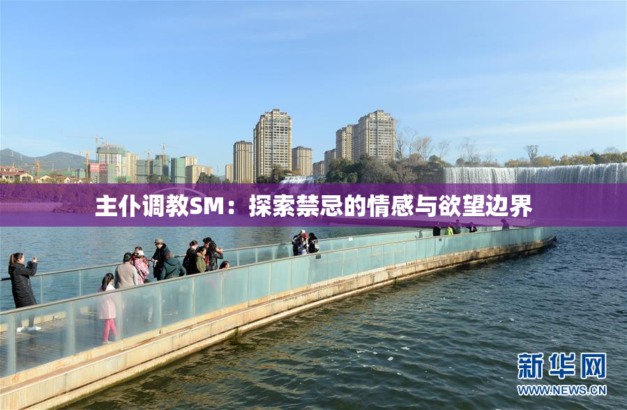 主仆调教SM：探索禁忌的情感与欲望边界