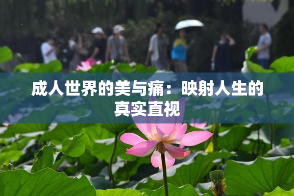 成人世界的美与痛：映射人生的真实直视