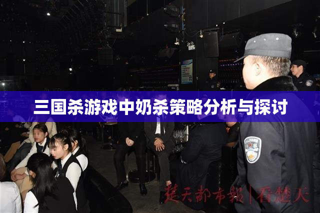 三国杀游戏中奶杀策略分析与探讨