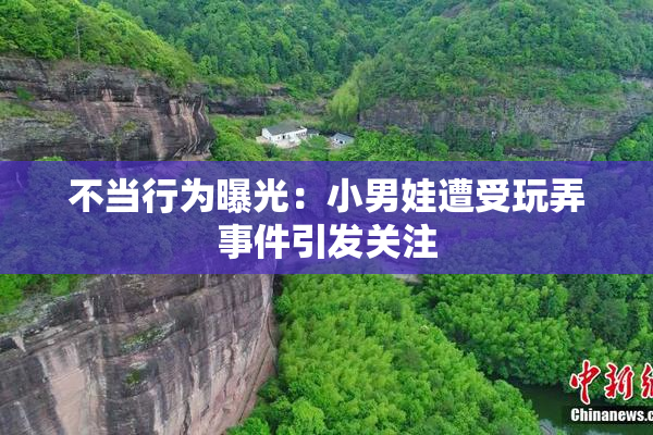 不当行为曝光：小男娃遭受玩弄事件引发关注