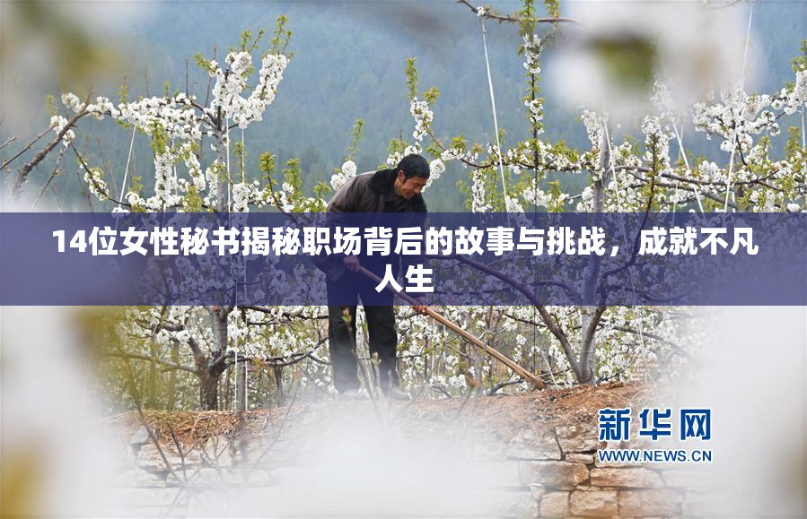 14位女性秘书揭秘职场背后的故事与挑战，成就不凡人生