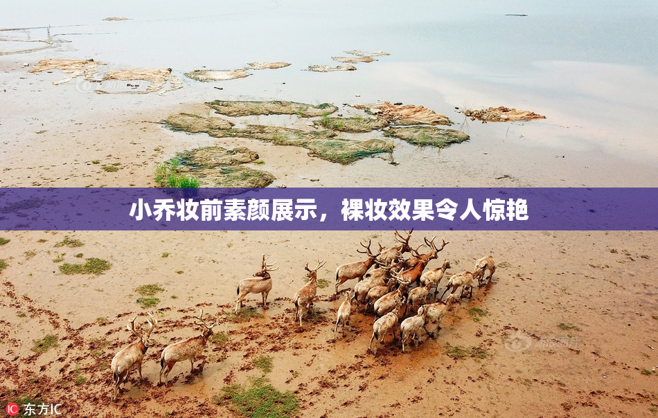 小乔妆前素颜展示，裸妆效果令人惊艳