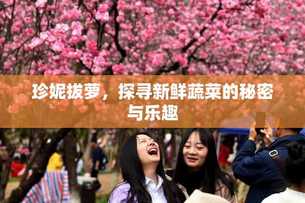 珍妮拔萝，探寻新鲜蔬菜的秘密与乐趣