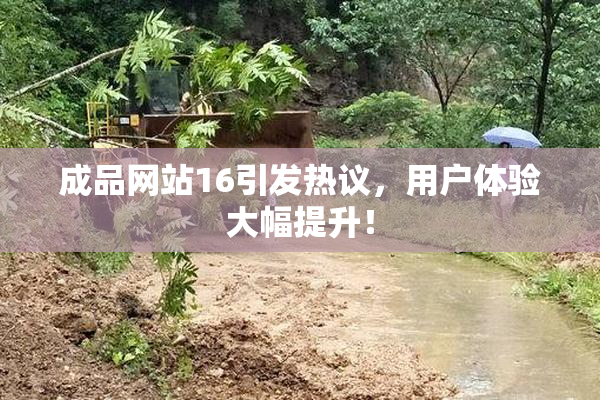 成品网站16引发热议，用户体验大幅提升！