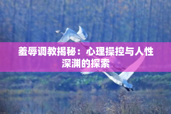 羞辱调教揭秘：心理操控与人性深渊的探索