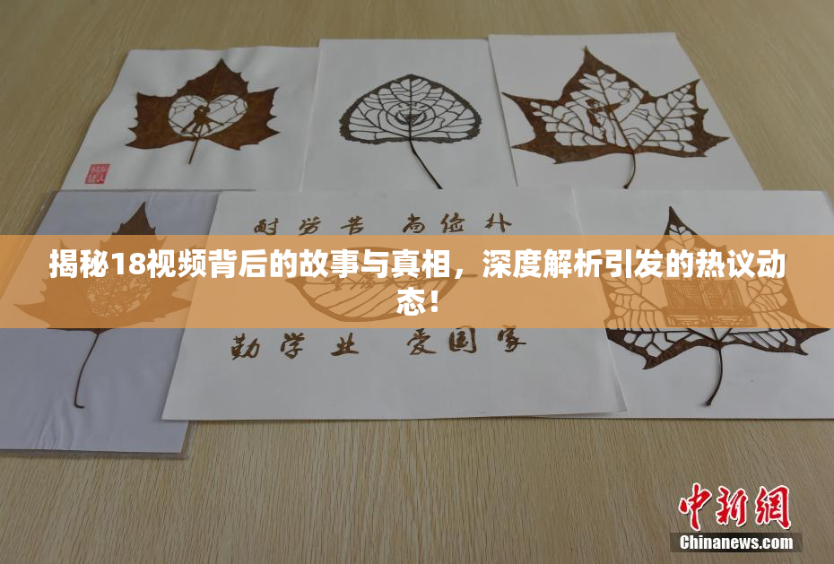 揭秘18视频背后的故事与真相，深度解析引发的热议动态！