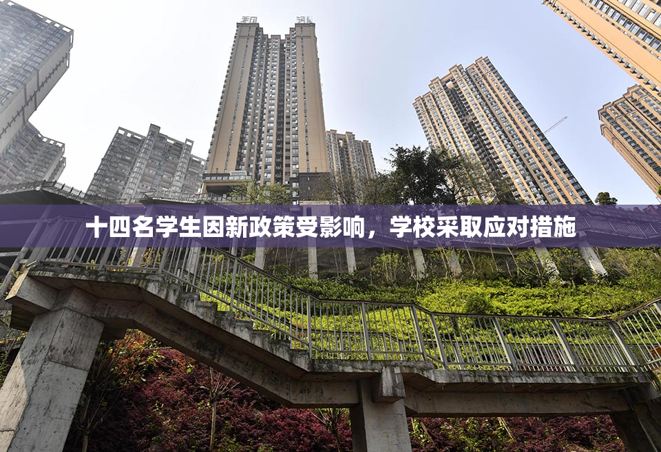 十四名学生因新政策受影响，学校采取应对措施