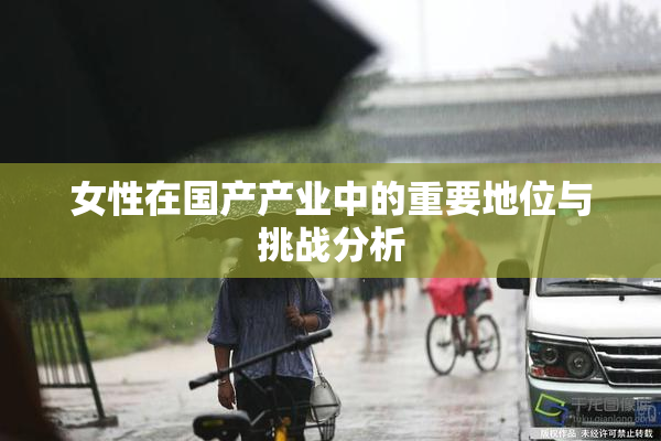 女性在国产产业中的重要地位与挑战分析