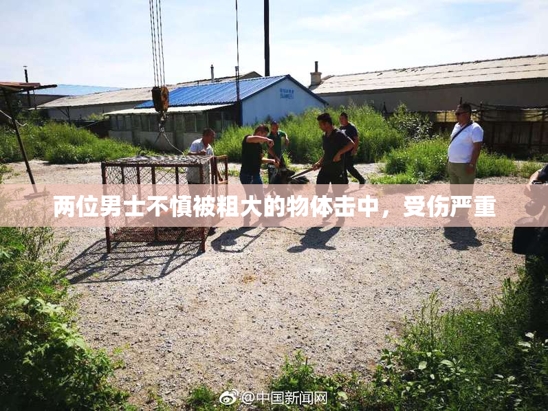 两位男士不慎被粗大的物体击中，受伤严重